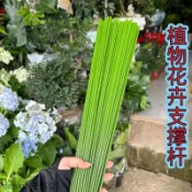 花架 爬藤 支架桿 種菜架 黃瓜架 植物架 爬藤架 支撐架 金錢樹蝴蝶蘭支架蔬菜瓜果爬藤植物立柱撐支撐杆花藝盆栽扶枝鐵絲