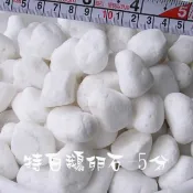 🔥鵝卵石 (免運) 🔥白鵝卵石＊搭配 麥飯石 雨花石貝殼沙貝殼砂珊瑚沙黑膽石多肉土泥炭土赤玉土田土花土煉石 造景