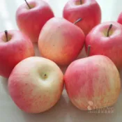 協貿國際日用品生活2館 加重高仿真紅富士紅蘋果裝飾模型 Lmdec假水果 蔬果仿真花擺設