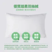 (店+)【Urban Nest】3M專利吸濕排汗枕台灣製 飯店枕頭 民宿枕頭 助眠枕 枕芯 蓬鬆加厚 透氣舒壓 床單/床包/日本熱銷