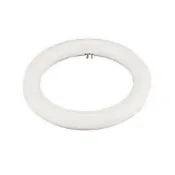 (店+)【東亞照明】東亞 15W  LED高效率環型燈管(畫光色-白光)