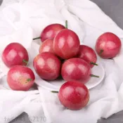 仿真水果模型 仿真蔬菜 假水果 模擬水果模型百香果雞蛋果西番蓮果蔬拍攝道具展示兒童早教玩具