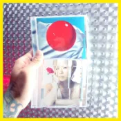 「椎名林檎 NIPPON カーネーション CD 二手專輯 @公雞漢堡」