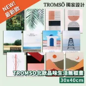 實木棉布無框畫 30x40cm 台灣現貨 白底掛畫 風景 海洋 插畫 腳踏車 莫蘭迪熱帶風裝飾畫 無框畫 文青風木框掛畫