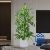 免運/公司貨 【仿真裝飾植物】北歐大型仿真綠植巴西木高端輕奢室內客廳擺設仿真盆栽 植物 紅鐵樹全館折扣 售後保障 店長新品推薦 6m1115