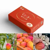 《 Chara 微百貨 》免運費 送到家 屏東 枋山 牛奶 蜜香 愛文 芒果 禮盒 2.5公斤裝 (9-12顆裝)