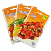 翠筠 蔬菜種子 菜種子 花種子 種菜 苗種子 菠菜 甘藍 北蔥 四季豆 蘿蔔 草莓【EZ410】 123便利屋