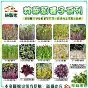 【綠藝家】芽菜類種子系列(各包裝數量詳見內文及圖片說明)苜蓿芽 蘿蔔嬰 青花椰菜芽 小麥草 豌豆嬰 紫高麗菜芽