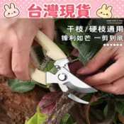 【台灣現貨 隔日達】園藝修枝剪 不鏽鋼園藝剪刀 修枝剪 樹枝剪 採果剪 檳榔剪刀 採果剪刀 農用剪刀 摘果剪 果樹剪
