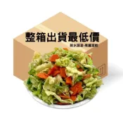 (店+)脫水高麗菜3公斤(防災食品 乾燥蔬菜  脫水蔬菜 登山 露營 泡麵  團購專區脫水蔬菜箱購最滑算)