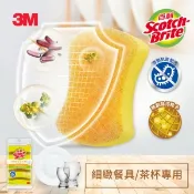 【i郵購】縱貫線3C量販店 3M 百利 抗菌 細緻餐具/茶杯專用好握型海綿菜瓜布*5入組
