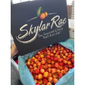 [ME’進口優質水果]✈️空運來台💎極少量精選｜華盛頓櫻桃·Skylar Rae草莓白櫻桃｜8.5、9R、9.5R🍒禮盒