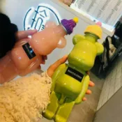 協貿國際日用品生活5館 廠家直供 350ml 500ml暴力熊飲料瓶 果汁瓶 塑料 食品級PET奶茶瓶