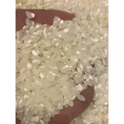 香米/花蓮香米/台灣米/白米/蓬萊米/媲美越光米/新米/興妍誠五穀健康米糧