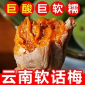 ✨限時特惠     雲南特産巨痠軟話梅濕梅子無核軟籽梅子果幹蜜餞孕㛿網紅休閒零食