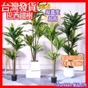 🔜宅配免運費❤️仿真巴西鐵樹❤️巴西木 綠植 盆栽仿真植物樹 家居裝飾擺件陽台 假花卉