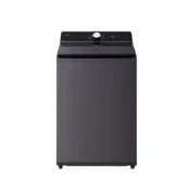LG樂金 20公斤 AI DD 蒸氣直驅變頻洗衣機 夜墨灰 WT-TD20HG