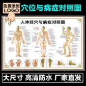 🔥免運🔥台灣出貨🔥臺灣人體穴位圖 全身圖 中醫艾灸拔罐養生十二經絡穴位海報大掛圖 人體經絡