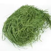 【萌寵健康牧草屋】小寵牧草 過篩苜蓿提摩西一割甜小麥草燕麥草百幕達乾草改善牙齒過長適合兔子龍貓豚鼠荷蘭豬日常餵養