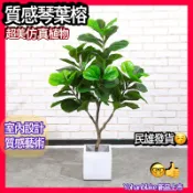 嘉義民雄出貨🚚開發票🔰仿真琴葉榕🔰琴葉榕 假植物 假樹 盆栽室內設計 大廳裝飾植物 綠植 旅人蕉 人造植物 仿生假樹盆栽