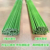 金錢樹支架蔬菜瓜果爬藤架花卉盆栽植物支撐桿蘭花固定鐵絲線支柱