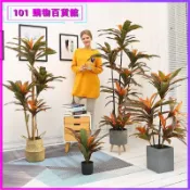 可開發票大型ins風巴西木仿真綠植紅鐵樹假花仿真花室內客廳盆栽擺件裝飾仿真植物人造假樹巴西木綠植盆栽仿真植物客廳高檔