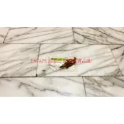 福特 天王星 全壘打 金全壘打 你愛她 LIATA ESCAPE MAV 油箱外蓋開關 油箱蓋開關 油蓋開關 油蓋車止