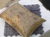 阿ken的園區~“ 環保又經濟之介質“~粗鏮~任何植物都適用~以“球根類“最廣範喔!!每包只要20元~買5送1喔!!
