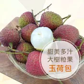 【生活市集】歐吉商 高雄大樹外銷香甜爆汁玉荷包33m+ 禮盒5台斤