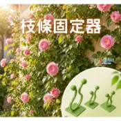 【花園城堡】 藤蔓固定器 附壁貼 10入 三種尺寸 蔓性玫瑰 枝條導引器 綠蘿黃金葛 綠牆固定器 枝條固定器 上牆