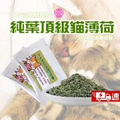 《小橙花寵物》小農種植 特級乾燥貓薄荷1G 單包裝 貓草 貓薄荷 荊芥 貓零食