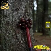 爆款免運🔥印尼果實搖鈴果殼鈴鐺天然音束串鈴療愈多拉瑜伽風鈴伴奏小衆樂器YQ