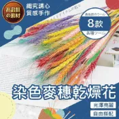 (店+)【隔日送達🚀】染色麥穗乾燥花 乾燥花材 麥穗 大麥 乾燥花 乾燥花束 花圈材料 花圈 春節掛飾 過年吊飾 新年掛飾