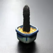 骨幹綠水晶 礦石/水晶/靈修/開運/招財/破煞/防小人