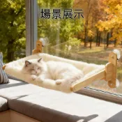 桃園出貨 貓吊床吸盤 配件 強力吸盤 太空艙 貓屋 窗戶 玻璃 專用 貓窗台 貓咪 吊床 螺帽吸盤 零件 大吸盤