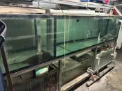 10尺底部過濾海產缸、水產養殖、水族缸、水族箱 含白鐵架.獨立上部過濾缸x2