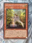 遊戲王 QCCU-JP162 芳香熾天使 歐白芷 (半鑽) 韓紙