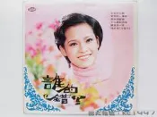 張素綾 - 誰的錯 〔華語歌曲黑膠唱片〕