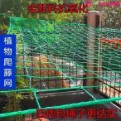 寶承齊百貨 植物爬藤網植物爬藤網尼龍網百香果種植絲瓜吊瓜葡萄黃瓜月季花攀