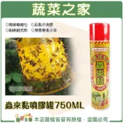 (店+)【蔬菜之家】蟲來黏噴膠罐750ML補蠅噴液、補蠅黏膠、果蠅黏膠 //耐雨耐光照 、無農藥毒汙