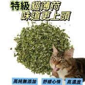 【台灣現貨】特級乾燥貓薄荷 種貓草 自嗨神器 單包裝 貓草 貓薄荷 荊芥 貓零食