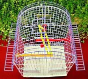 ==臻品寵物鳥園==混搭色小半圓頂型造型鳥籠，適合文鳥.胡錦.十姐妹.錦花.小鸚.小鸚哥.牡丹.綠繡眼.金絲雀等小型鳥.00806691#