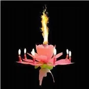 送蠟燭燈 煙火蠟燭 大學生了沒推薦 荷花音樂生日蠟燭 音樂蠟燭 生日派對 生日蛋糕 非浪漫告白煙火.旋轉音樂蠟燭生日蠟燭