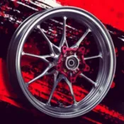 30天交貨 台灣公司貨 WorkRacing SMAX FORCE 鍛造輪圈 雙碟X9 輪框 鍛造框 前後一對