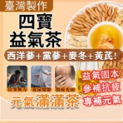 現貨免運🔥四寶益氣茶 參補抗疲 增強體力 養氣茶 元氣茶 四寶茶 冷泡茶包 西洋蔘茶 養生茶 茶包 西洋蔘 黨蔘 黃芪
