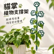 【台灣現貨】貓掌植物支撐架｜盆栽攀爬架｜藤蔓牽引支架｜黃金葛常春藤支架｜360度旋轉卡扣｜枝條固定｜園藝造型支架