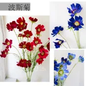 ☆芳馨花園｜仿真花【波斯菊】單支款／花藝佈置實品屋造景民宿 攝影道具