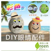 DIY眼睛配件 彩色 一包販售 寵物石頭眼睛 眼睛貼紙 園藝裝飾 多肉植物裝飾【綠色山嵐】
