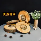 苔鑽🍀天然樟樹 龍柏 原木片/微香味/植物上板材料/蕨類上板材料/隔熱墊/拍照道具/居家飾品/盆栽/造景/空氣清淨