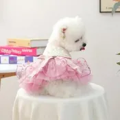 【滿300出貨】寵物衣服秋冬新款小型犬幼犬快樂狗貓保暖舒適安妮公主婚紗